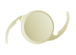 artificial_lens03_01